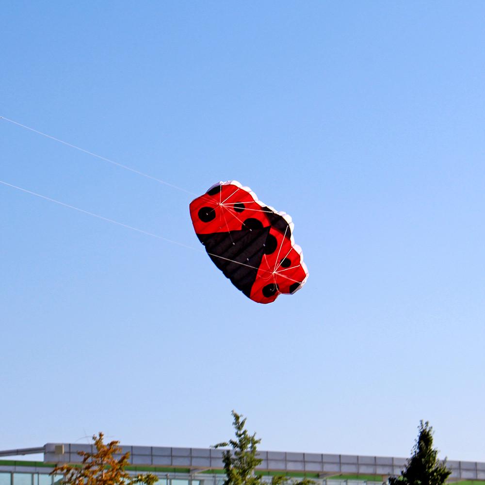 Огромное развлечение на открытом воздухе, спортивное двухлинейное программное обеспечение L-adybug K-ite, летающие змеи с животными