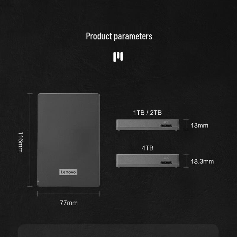 Lenovo F309 Portable External Hard Drive