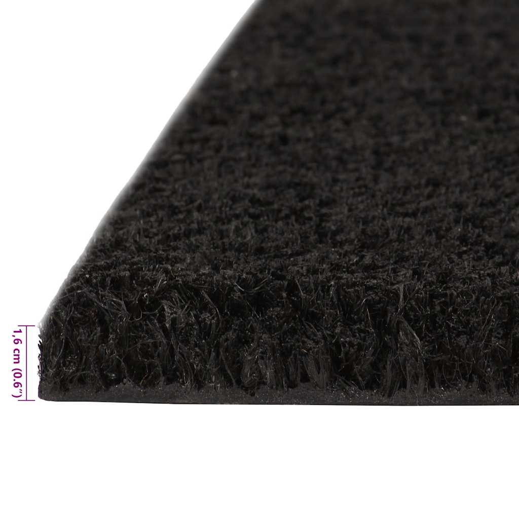 Doormats 2 pcs. Black 40x60 cm Coir Fiber Tufted