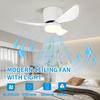 Modern LED Ceiling Fan Light Bedroom, Study Three Leaf Fan With Remote Control Adjustable Three Color Timer, Mini Ceiling Light