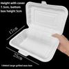 Plastic Disposable Lunch Box with Compartments - 3, 4 Grid Options for Takeaway, Bento, or Fast Food | Free Shipping
