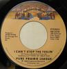 7-дюймовая пластинка PURE PRAIRIE LEAGUE - I Can't Stop The Feelin' NB2319 Casablanca 1980 США Рок Б/У
