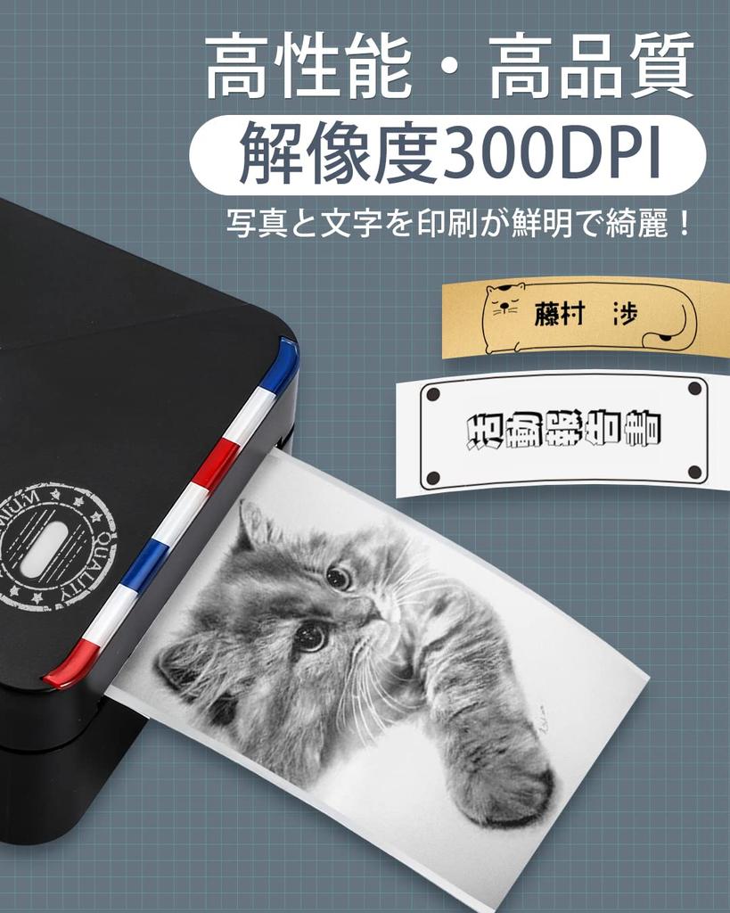 Phomemo M02S Мобильный Смартфон Мини Термальный Принтер для Этикеток Генерация Анимационных Изображений 300DPI Черно-Белая Фото Заметка Термальный Портативный Этикеточный Компактный