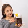 Cute simulation bald sea eagle doll plush toy bird eagle doll children's company soothing doll