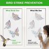 Removable Window Clings Static Cling Window Stickers Bird Safe Bird Strike Deterrent  Sliding Doors