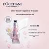 L'OCCITANE Hand Cream 4-Piece Gift Set