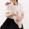 Livheart Premium Nemunemu Animals Hana the Pug Body Large Fluffy and Squishy Plush Gift Item Pillow, (Approx. 67cm), Toy, 48768-32
