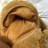 Плюшевый рюкзак Капибара Милый и очаровательный Модный плюшевый питомец Меховая сумочка Детская сумочка Наплечная сумка Мини-рюкзак Сумки Подарки разработанные для