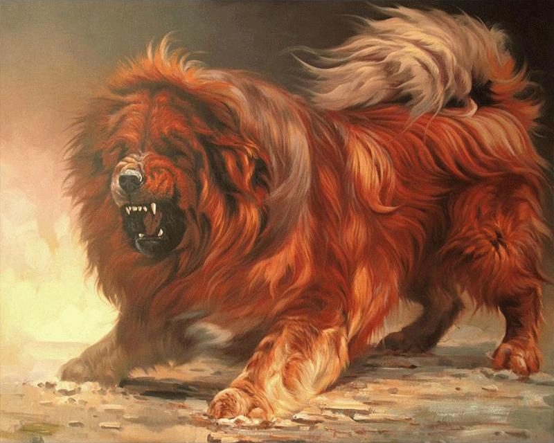 Полный квадратный круглый 5D DIY Алмазная вышивка Цветок Религиозная фигура Алмазная картина Собака Животное Алмазная мозаика Изображение Rhinestone Wall Art