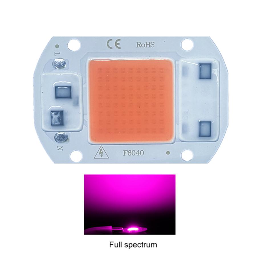 RnnTuu 220 В светодиодный чип 20 Вт 30 Вт 50 Вт COB чип не требует драйвера светодиодные лампы для прожектора прожектора DIY освещение полный спектр