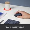 Souris - Sans fil - Logitech - M170 - Gris - Ambidextre