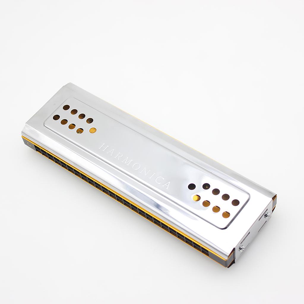 Двусторонняя тремоло-гармоника Swan 2 в 1, губная гармошка, дуральная, тональности C и G, 24 двойных отверстия, язычковый духовой инструмент с мягкой подкладкой