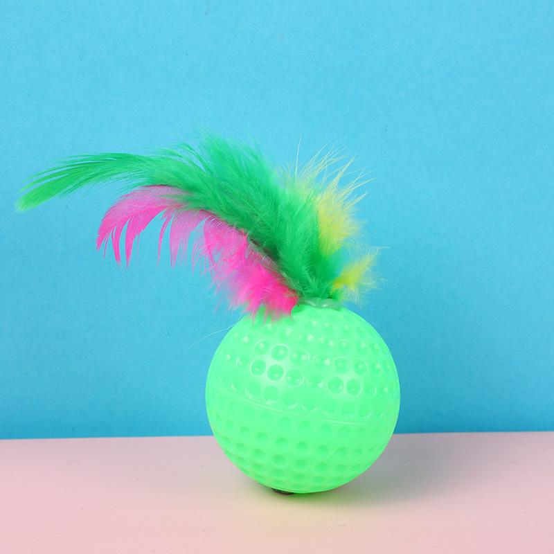 Mixed Plastic Golf Ball, 10 Pieces, with Feathers, Interactive Kitten Toy, Pet Supplies
