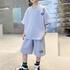 Boys Spring and Summer Round Neck Quick Dry Jacquard Solid Colour Short Sleeve Top + Shorts Casual Two-piece Set