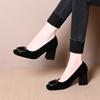 Autumn Square Buckle Women's Shoes Suede Single Shoes New Temperament Square Head Shallow Mouth High Heels Work Commuter Shoes
