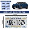 Light Blue Seashells Beachy License Plate Frame - Unobstructed Narrow-Edge 2 Packs Universal Stainless Steel Car License Plate Frames Holder Solid