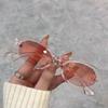 Новые красочные солнцезащитные очки в маленькой овальной оправе, модные модные популярные женские очки, брендовые дизайнерские очки UV400 с оттенками для женщин