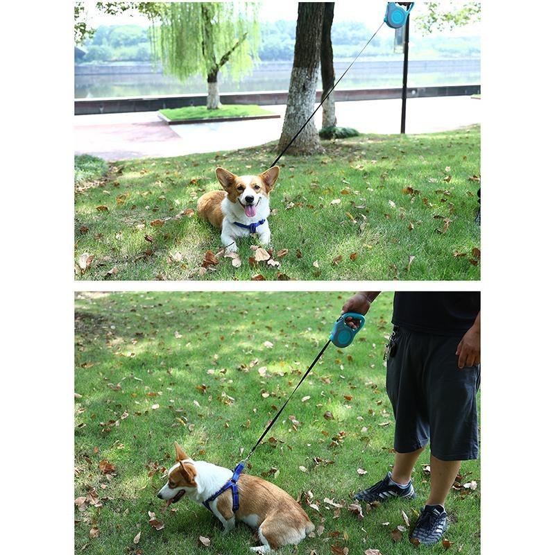 3M / 5M Выдвижной поводок для собак Автоматический гибкий ремень Поводок для собак Товары для домашних животных для маленьких и средних собак