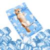 2025 New CHMKSTC Pet Cooling Mat with Cooling Chin with Water Cooling To the Heatstroke Suitable for Large Pillow, Sheet, Rest, Non-Toxic, Jul, Inlet,