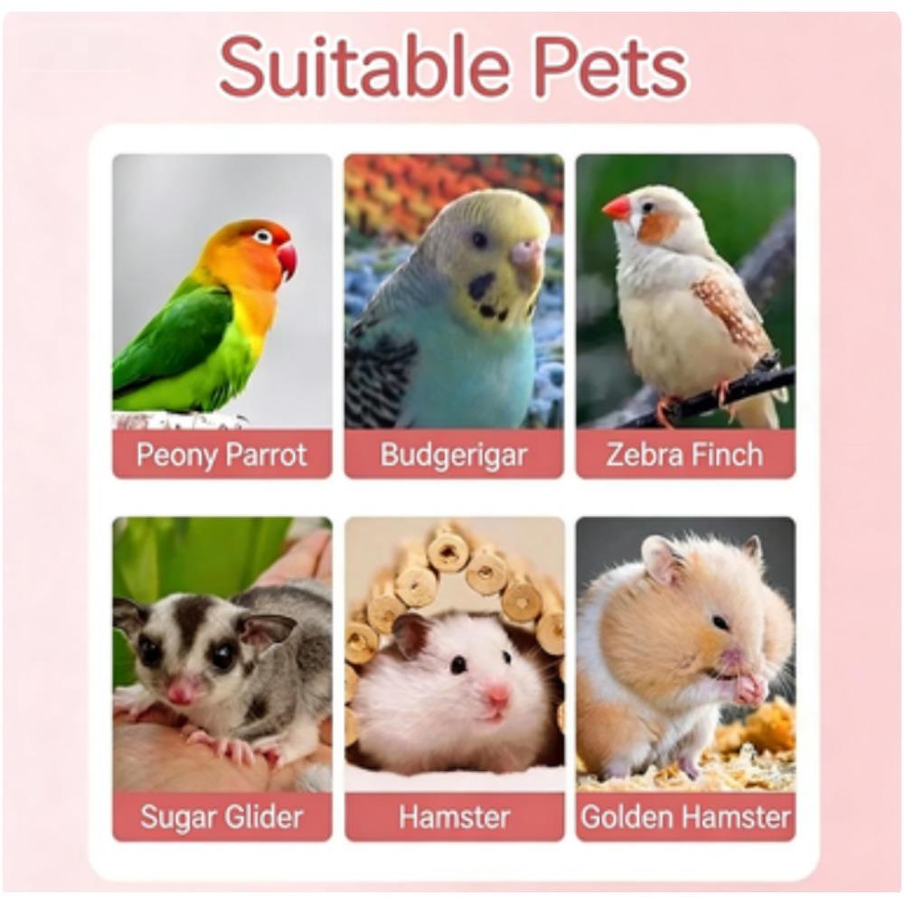 Hamster Ball, Exercise Toys, Running Ball, Clear Plastic Balls Hamster Cage Accessorie Small and Medium Hamsters, Syrian Dwarf