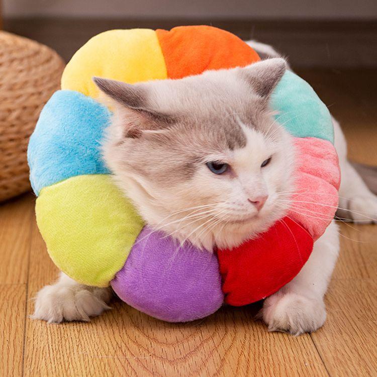 Rainbow-colored sunflower Elizabethan collar for cats, dog collar, sterilization collar, anti-licking and anti-scratch head cover