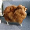 Realistic Pomeranian Simulation Toy Dog Puppy Lifelike Companion Toy Handcrafted Drop Dog Pet Toys Simulation Stuffed Shipp G7D7