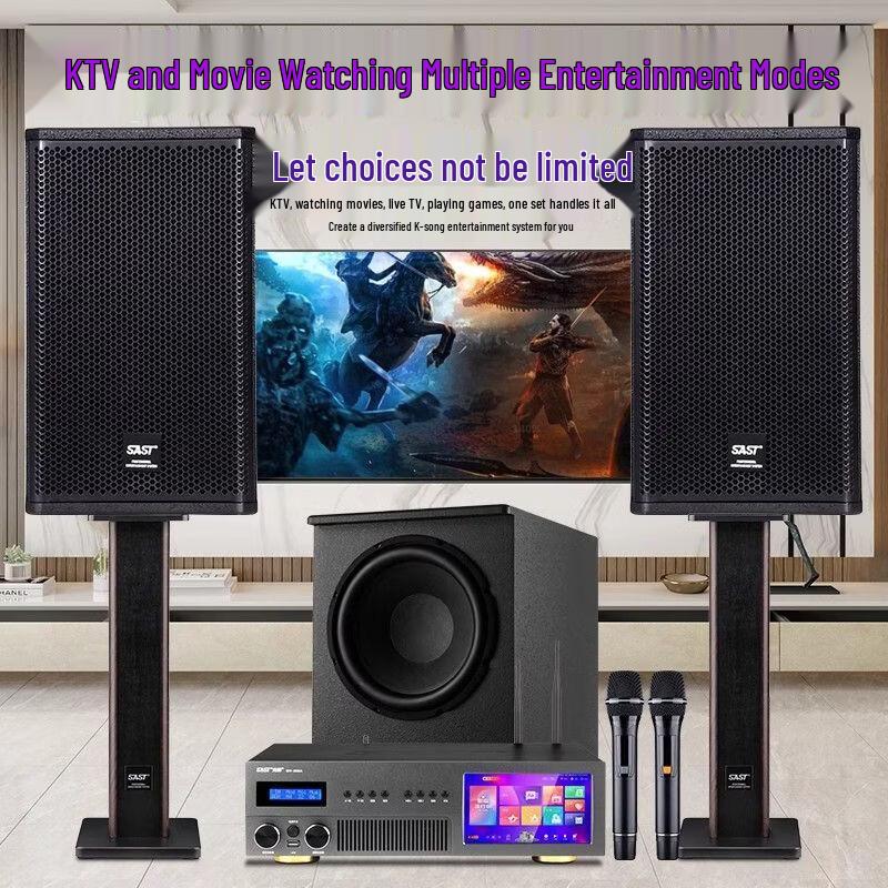 SAST Professional 12-inch All-in-One Home Karaoke System CN plug (adapter included)