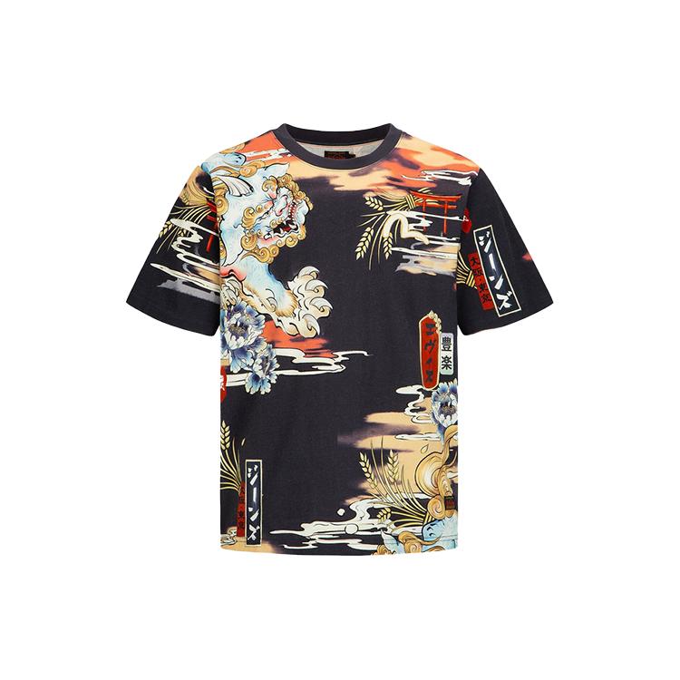 Evisu Футболки мужские разноцветные с круглым вырезом умеренного прямого кроя 2ESHTM2TS501XXCT