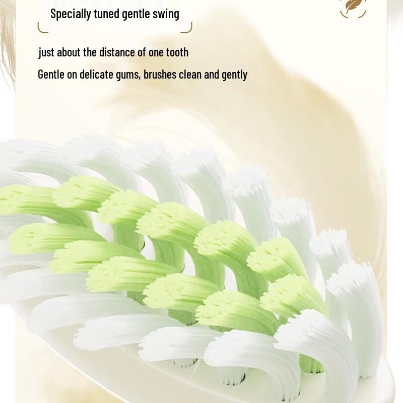 Philips Sonic Electric Toothbrush HX2481 CN plug (adapter included)