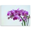 Canvas Print, Orchid Branch