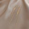 Hot Long Tassel Metal Earrings for Women Simple Temperament and Fashionable Personality