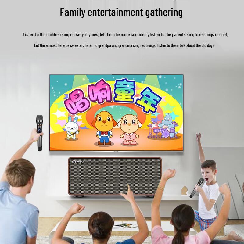 SANSUI H3 KTV Home Theater Audio System