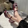 White Xiaoxiangfeng Thick Heel Small Leather Shoes Women's 2025 New Spring and Autumn Versatile Skirt Light Mouth Mary Jane Single Shoes