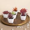 6PCS (УСТАНОВЛЕН) Мини Искусственный Суккулент Зеленое Растение Пластиковый Белый Горшок, Декор для Подоконника Дома, Стола Ресторана, Книжной Полки