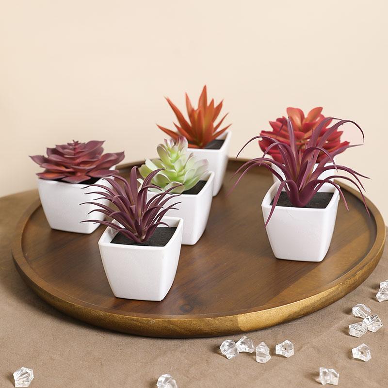 6PCS (УСТАНОВЛЕН) Мини Искусственный Суккулент Зеленое Растение Пластиковый Белый Горшок, Декор для Подоконника Дома, Стола Ресторана, Книжной Полки