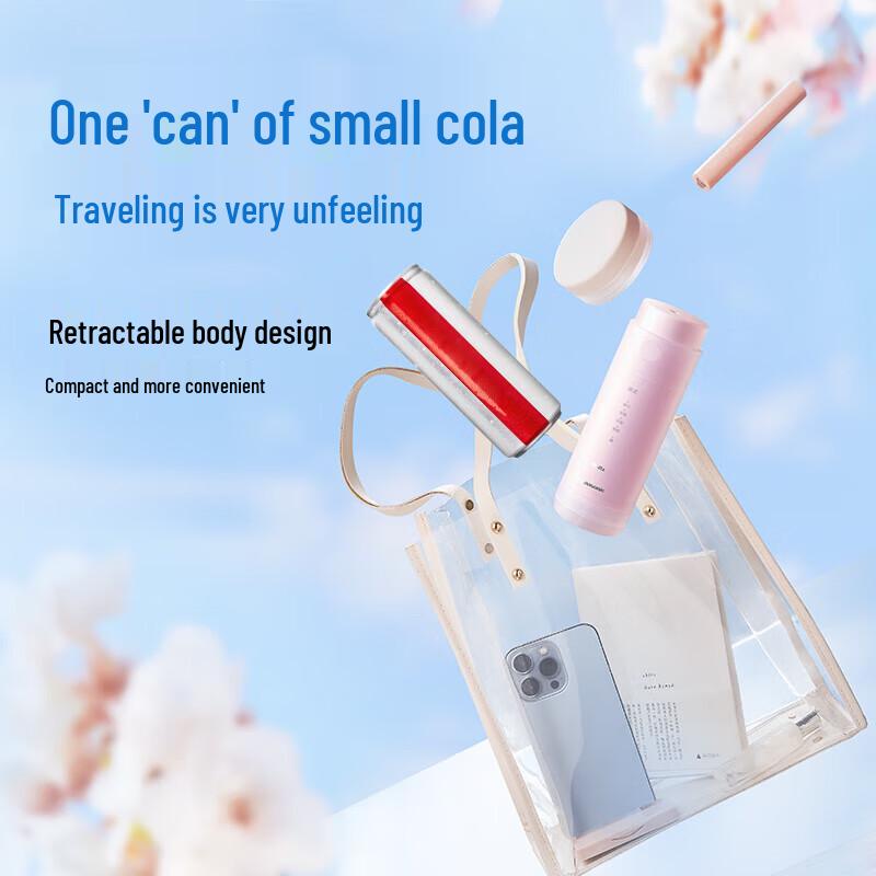 Panasonic Portable Water Flosser