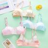 Children Girls Cotton Underwear Teenager Training Bra Non-Wired & Thin Pad With 2 Adjustable Hooks