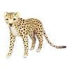 BH7241 HANSA Cheetah 34