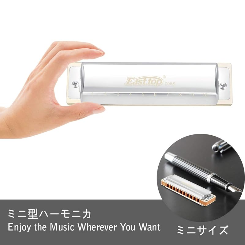 East Top Harmonica Blues Harmonica 10 Hole Harmonica G Key 10 Holes 20 Tones Brass Cover Canvas Case Clean Cloth Expert Diatonic Harmonica