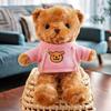 Plush Teddy Bear Gift Set: Birthday Ring Toss Doll & Sweater Bouquet, Perfect for Children's Day