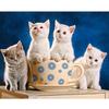 Full 5D Diy Diamond Painting Cartoon Animal Cat Mosaic Embroidery Cross Stitch Home Decor Handmade