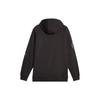 Puma Однотонный логотип с длинным рукавом, приталенная толстовка с капюшоном, мужская толстовка с капюшоном, черная 621073-01