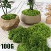 Biomimetic Artificial Moss Mats Indoor Outdoor Decor Realistic Fake Grass Turf Micro Landscape Bonsai Office Natural Aesthetic
