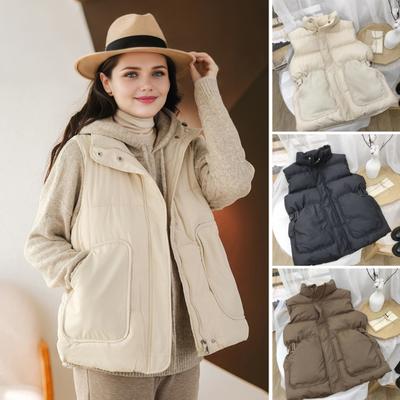 Женский пуховый жилет Повседневный без рукавов с капюшоном на молнии Куртка Стеганое пальто со стойкой и карманами Зимняя теплая верхняя одежда