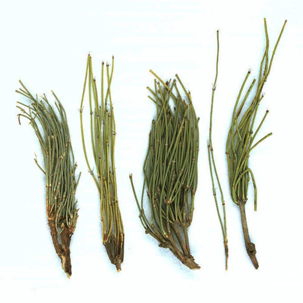 250 г Травяной чай MaHuang Чистый сырой натуральный чай с эфедрой Sinica Чай Ma Huang Чай для здоровья Чай Muhuang Mohuang Mahang