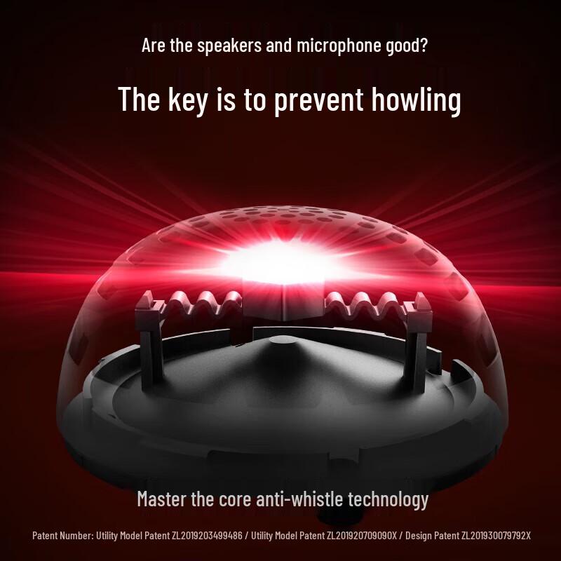 Changeba Little Giant KTV Microphone G2