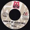 7-дюймовая пластинка SIZZLA - Push It Up MM100 Mo' Music Produ 2002 US Reggae, Ska & Dub Б/у