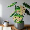 Yousheng 1 Set 3D Printed Monstera Leaf Coaster Heat-Resistant Tropical Leaves Trivet Anti-scald Mat Kitchen Countertop Coffee Cup Holder Dining Table