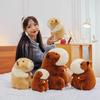 Guinea Pig Plush Toy Ugly Cute Guinea Pig Doll Doll Children Sleeping Pillow Gift for Girls