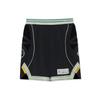 Шорты мужские баскетбольные спортивные Li Ning, черные AAPR413-2